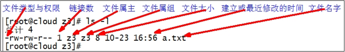 image-20250124214443509