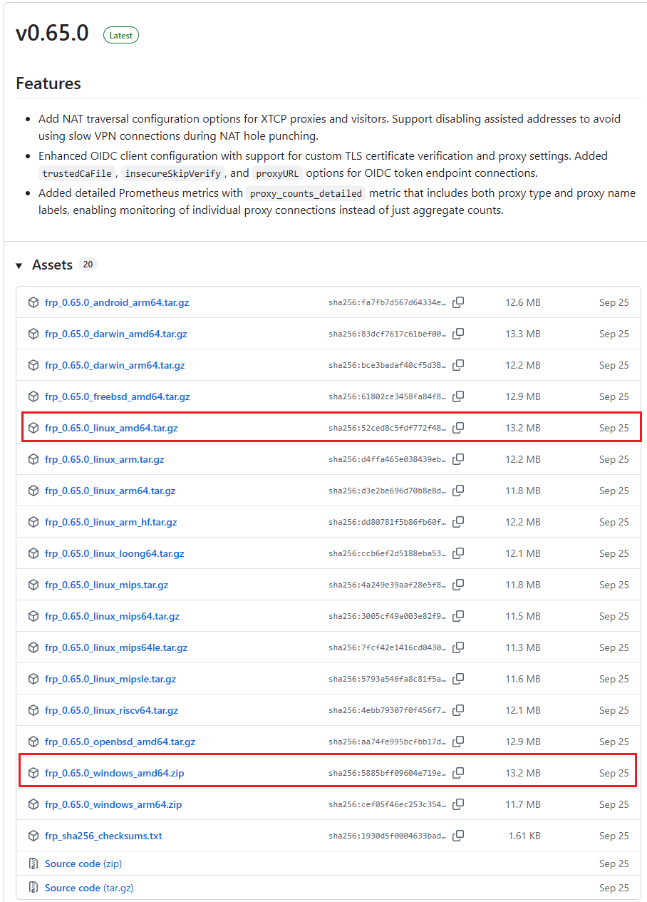 image-20251221230457380