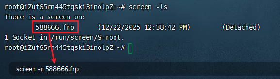 image-20251222124504815