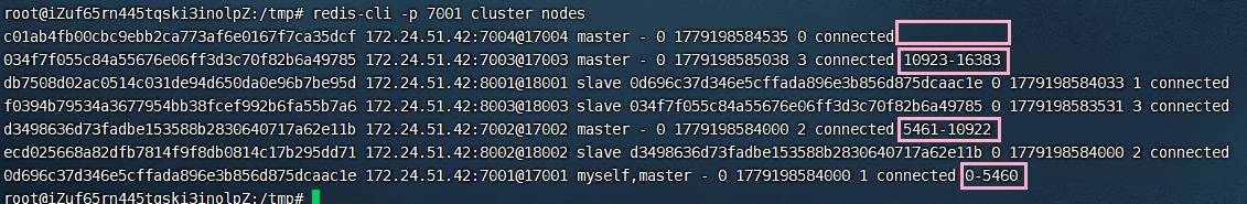 image-20260519215107958