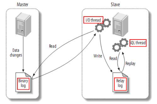 image-20260521162411142