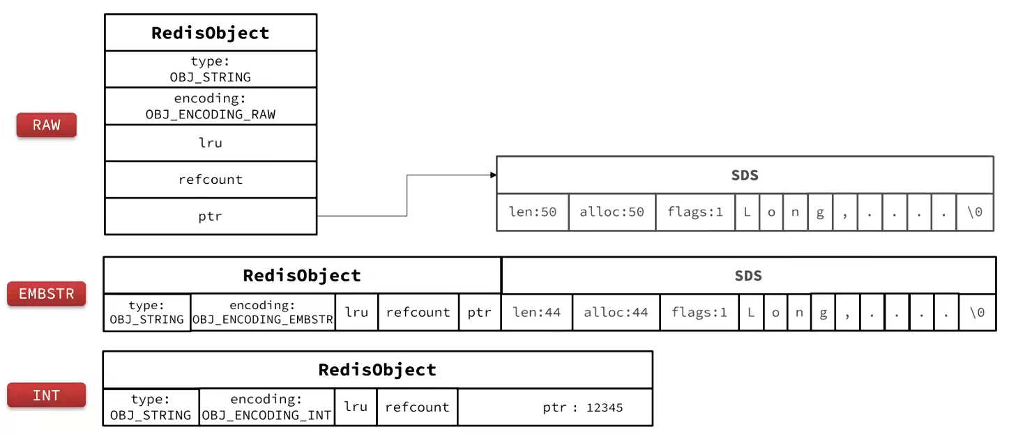 image-20260604204928860